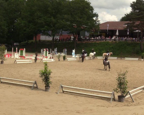 Reitturnier Iserlohn-Kalthof 2024