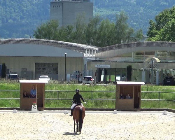 Reitturnier Werdenberg 2024