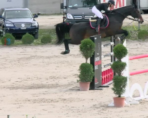 Basler Pferdesporttage Schänzli 2021