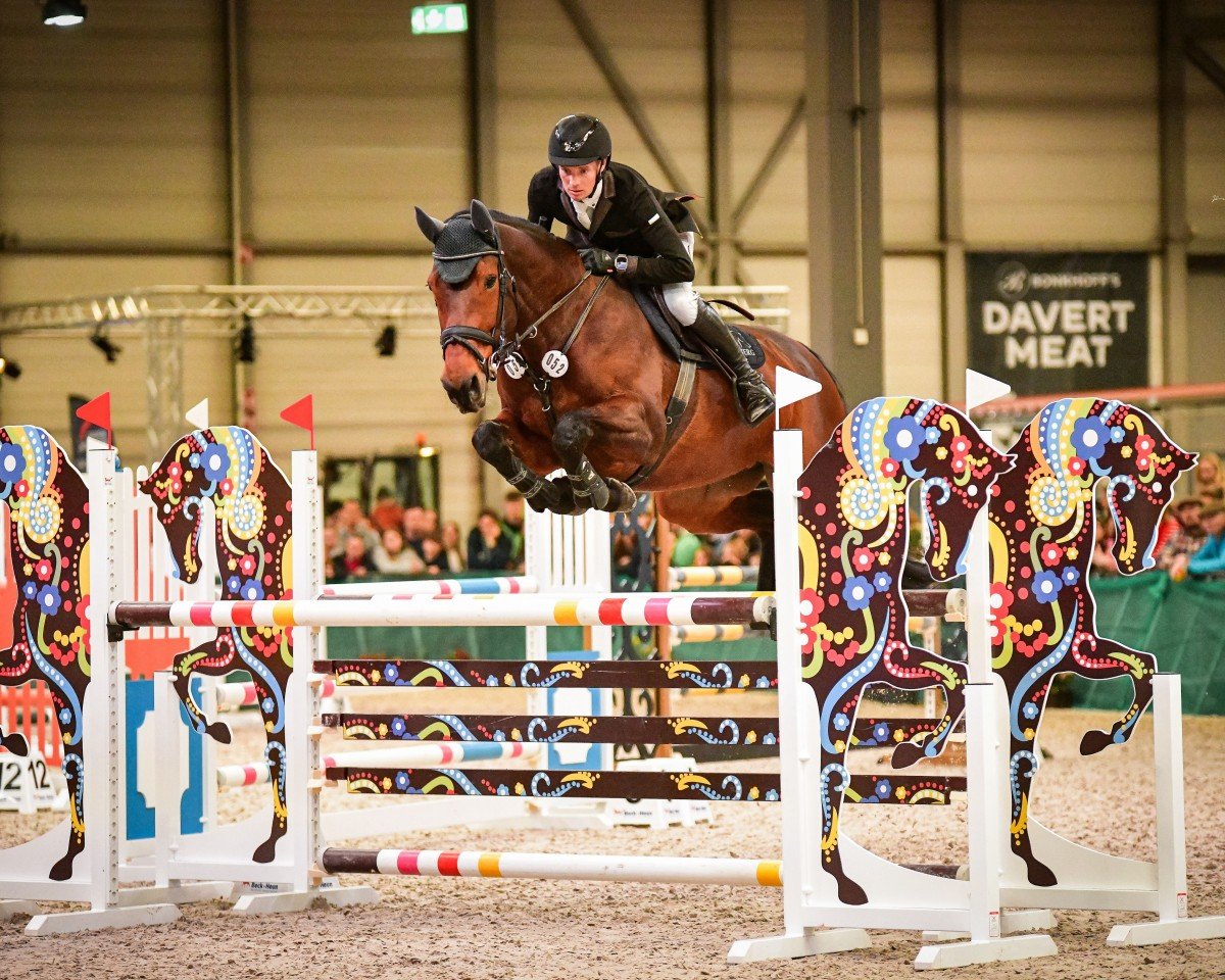 Skokan Jofra (KWPN (Nizozemský teplokrevník), 2014, od Quasimodo vd Molendreef)