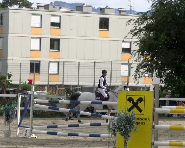 Reitturnier Stadt Bregenz 2024