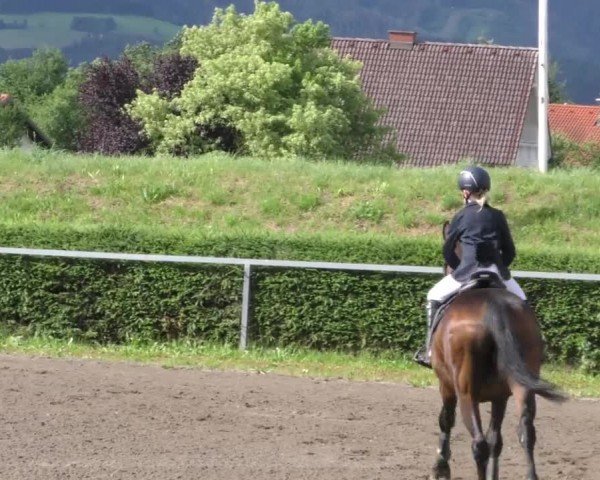 Reitturnier Sachendorf 2022