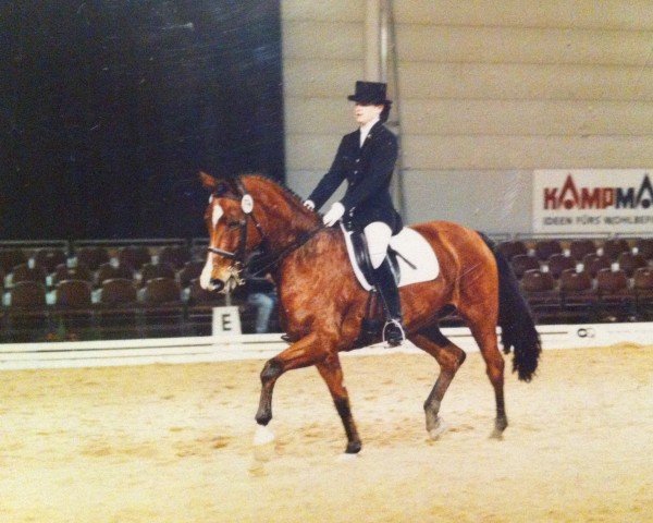 horse Samoa 15 (Westphalian, 1989, from Silvano)