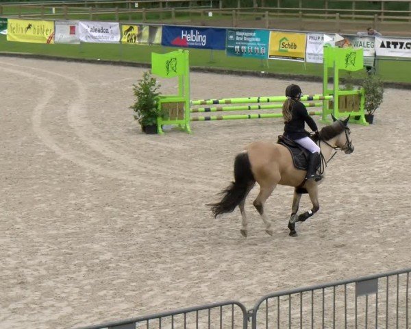 Reitturnier Werdenberg 2024