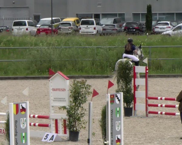 Reitturnier Werdenberg 2024