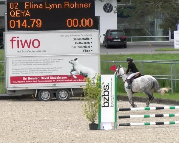 Reitturnier Werdenberg 2024