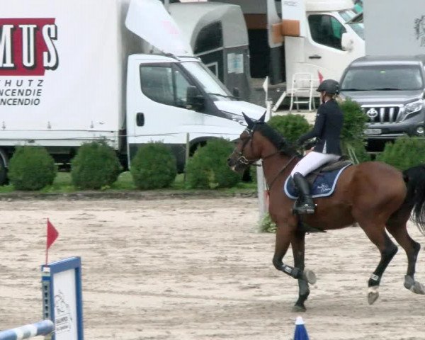 Basler Pferdesporttage Schänzli 2021