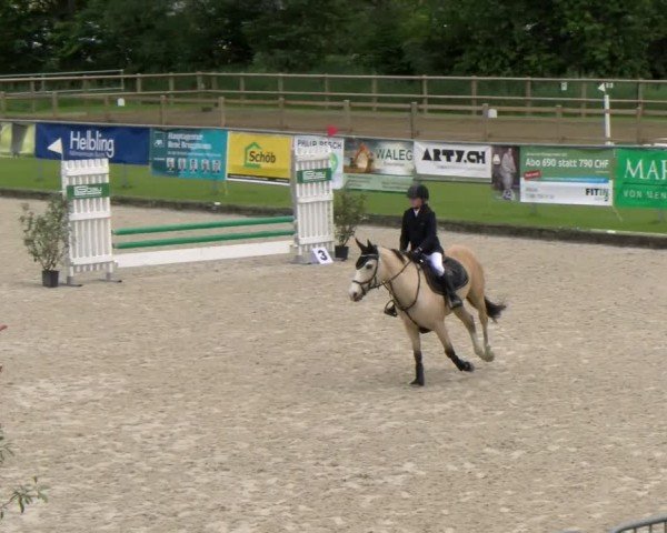 Reitturnier Werdenberg 2024