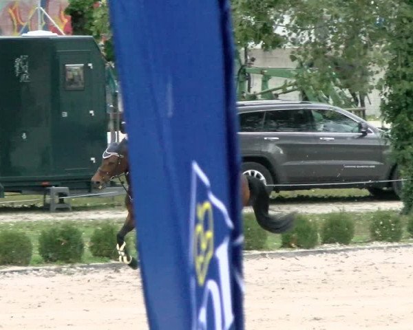 Basler Pferdesporttage Schänzli 2021