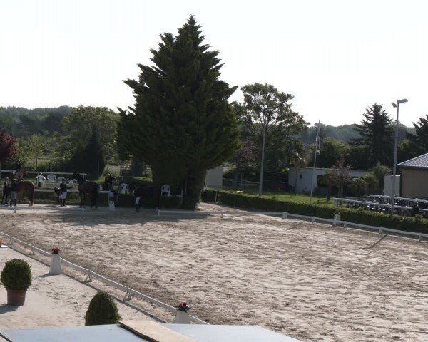 Reitturnier Bornheim-Widdig 2024