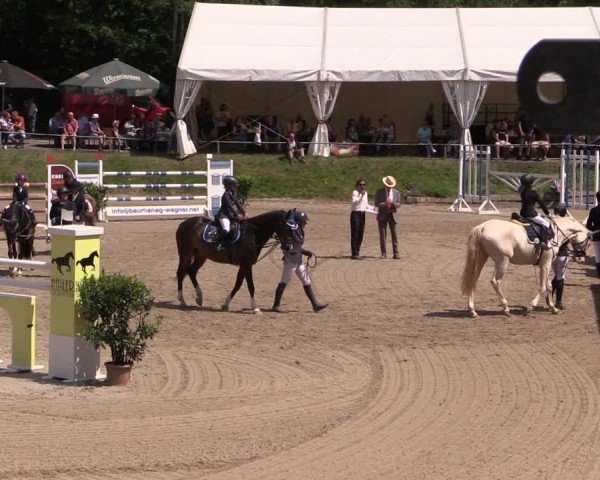 Reitturnier Lgl.-Oberhain, B95 2024