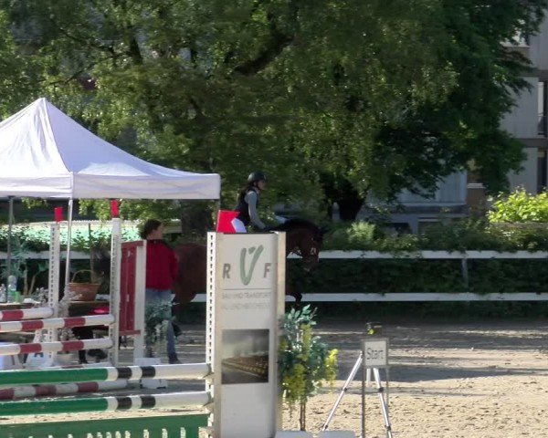Reitturnier Stadt Bregenz 2024