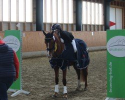 dressage horse Ponyland Streeks Bonfire (German Riding Pony, 2014, from Bon Balou)