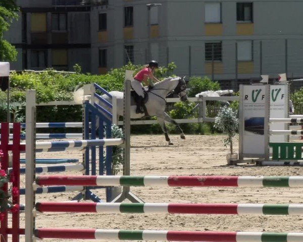Reitturnier Stadt Bregenz 2024