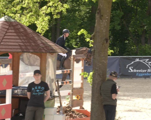 Reitturnier Karlsfeld/Obb. 2024