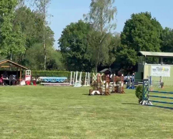 Reitturnier Wedel-Catharinenhof 2024