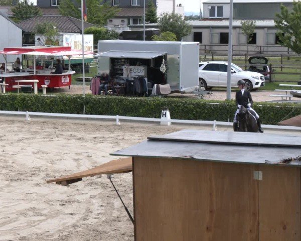 Reitturnier Bornheim-Widdig 2024