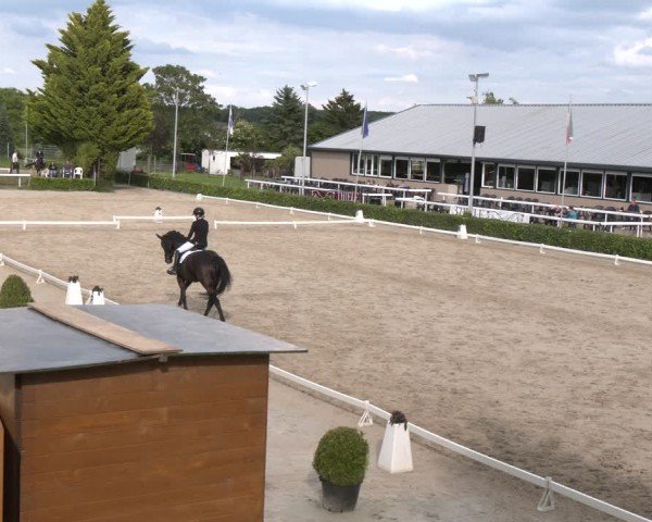 Reitturnier Bornheim-Widdig 2024