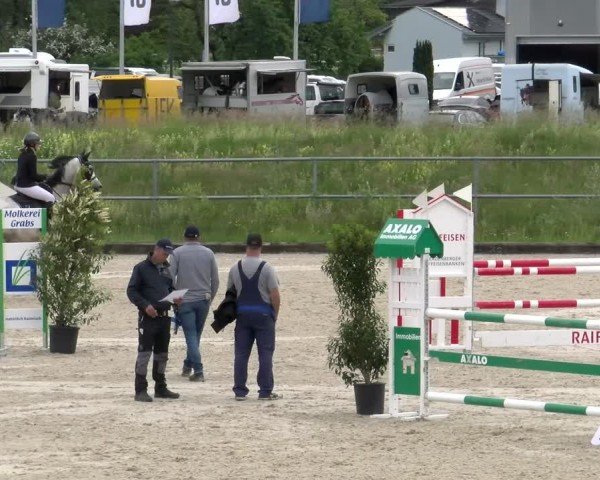 Reitturnier Werdenberg 2024