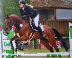 jumper Quimby 6 (Holsteiner, 2019, from Quiwi Air)