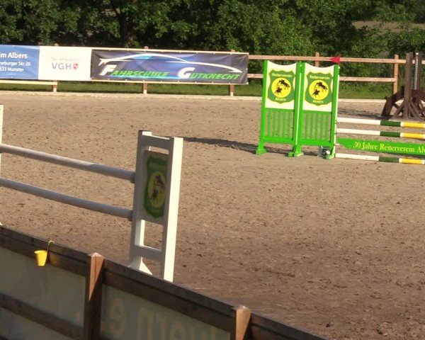 Reitturnier Alvern 2024