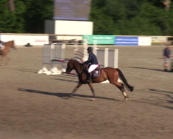 Reitturnier Alvern 2024