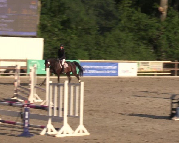 Reitturnier Alvern 2024