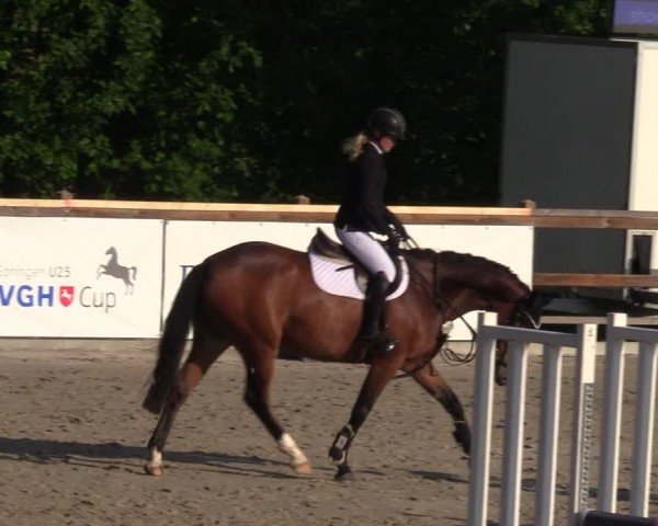 Reitturnier Alvern 2024