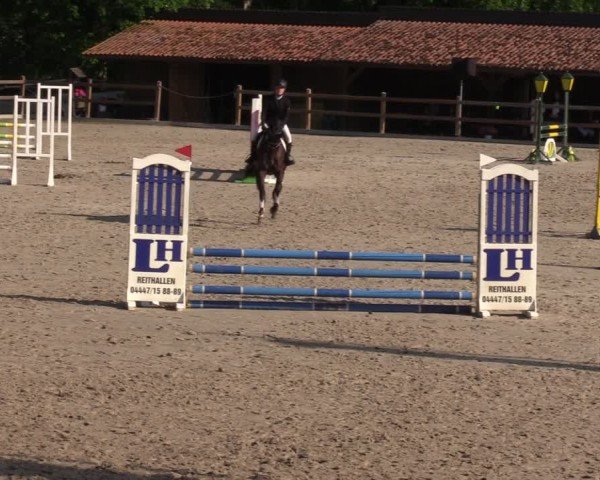 Reitturnier Alvern 2024