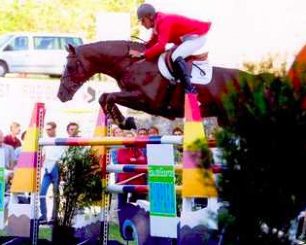 stallion Fildor de Largival (Selle Français, 1993, from Double Espoir)