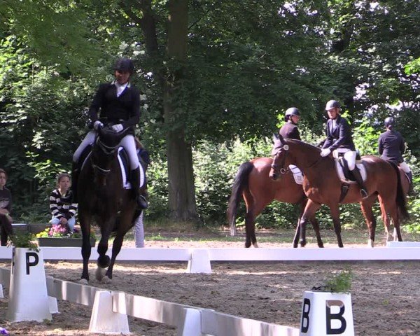Reitturnier Königsborn 2024