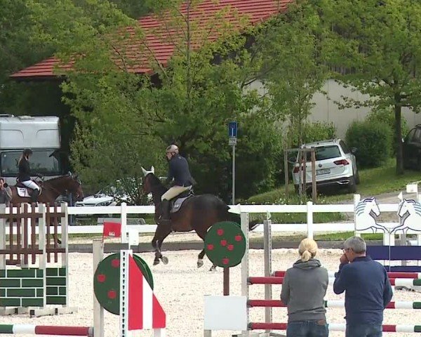Reitturnier Gut Bohmerhof-Wackersberg/Obb. 2024