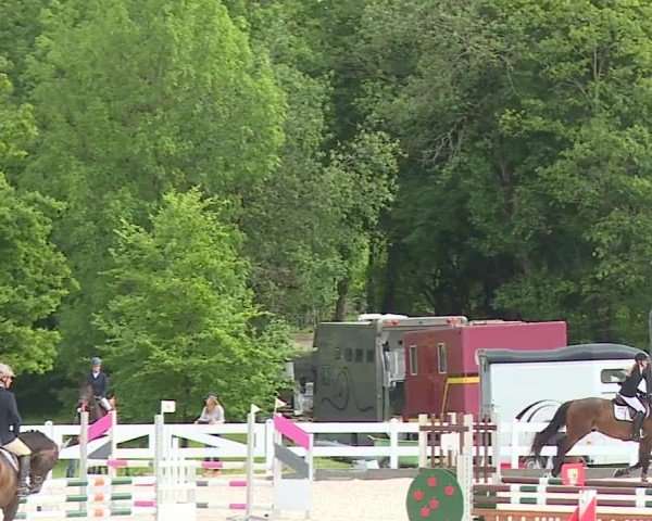 Reitturnier Gut Bohmerhof-Wackersberg/Obb. 2024