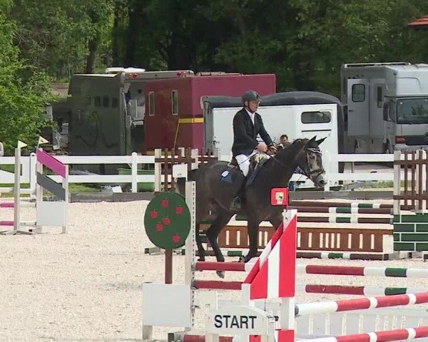 Reitturnier Gut Bohmerhof-Wackersberg/Obb. 2024