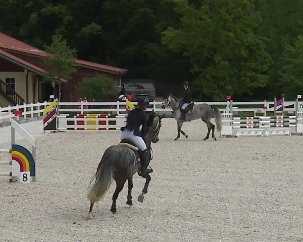 Reitturnier Gut Bohmerhof-Wackersberg/Obb. 2024