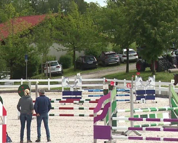 Reitturnier Gut Bohmerhof-Wackersberg/Obb. 2024