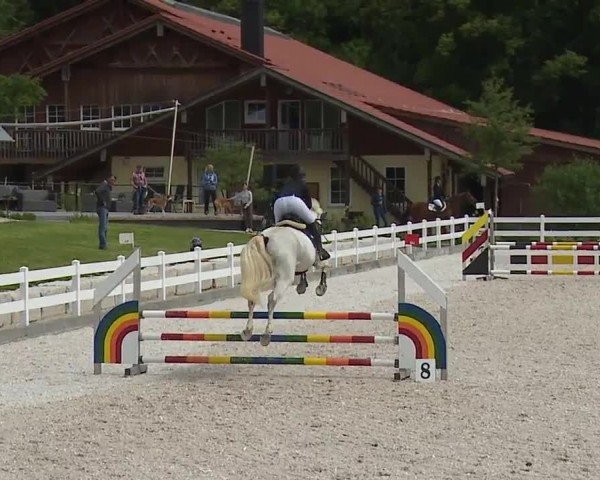 Reitturnier Gut Bohmerhof-Wackersberg/Obb. 2024
