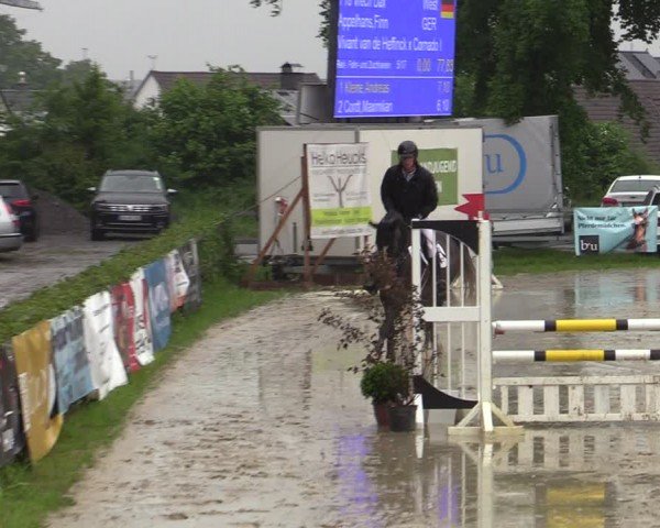 Reitturnier Letmathe 2024