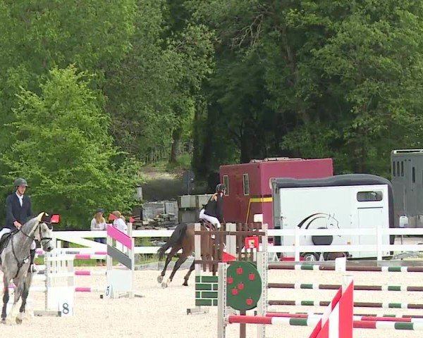 Reitturnier Gut Bohmerhof-Wackersberg/Obb. 2024