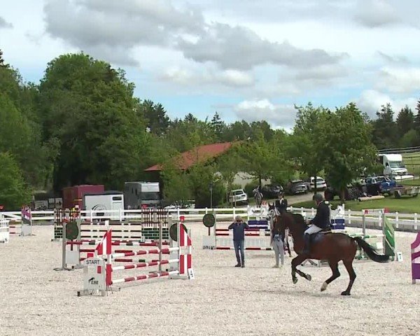 Reitturnier Gut Bohmerhof-Wackersberg/Obb. 2024