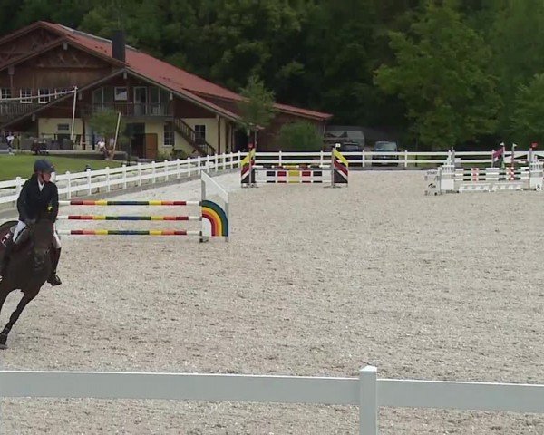 Reitturnier Gut Bohmerhof-Wackersberg/Obb. 2024