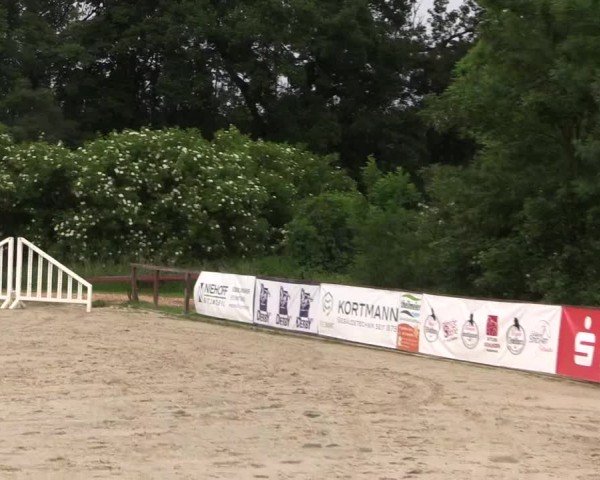 Reitturnier Everswinkel 2024