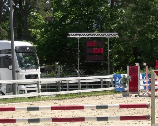 Reitturnier Stadt Bregenz 2024