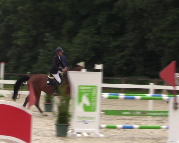 Reitturnier Everswinkel 2024