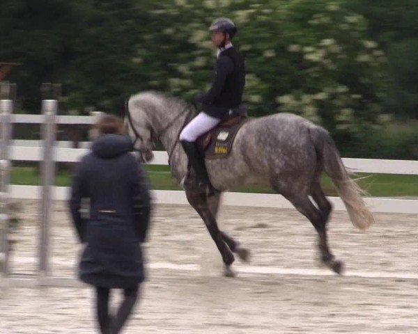Reitturnier Everswinkel 2024