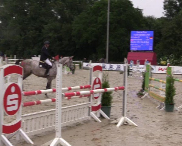 Reitturnier Everswinkel 2024