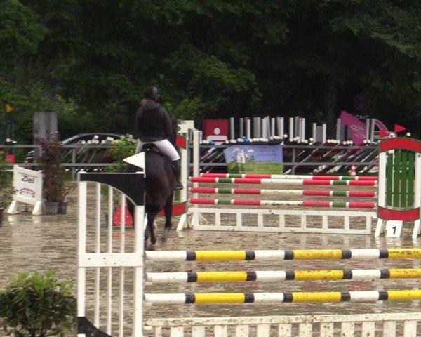Reitturnier Letmathe 2024