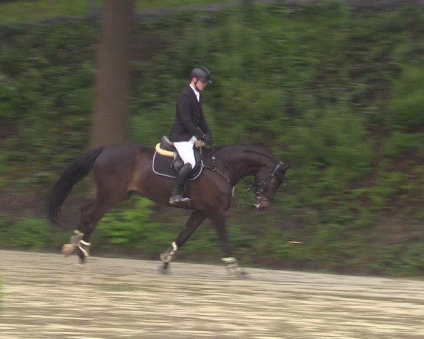 Reitturnier Letmathe 2024