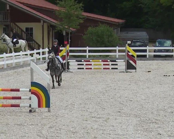 Reitturnier Gut Bohmerhof-Wackersberg/Obb. 2024