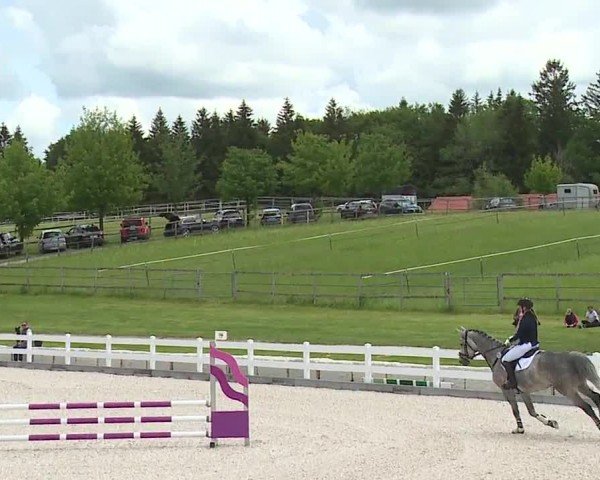 Reitturnier Gut Bohmerhof-Wackersberg/Obb. 2024